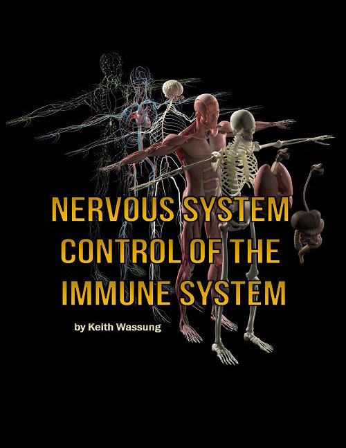 Chiropractic Kyle TX Nervous System Control Of The Immune System